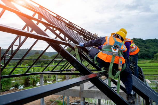 Best Metal Roofing Contractor  in Coal City, IL