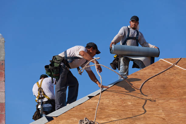 Best Storm Damage Roof Repair  in Coal City, IL