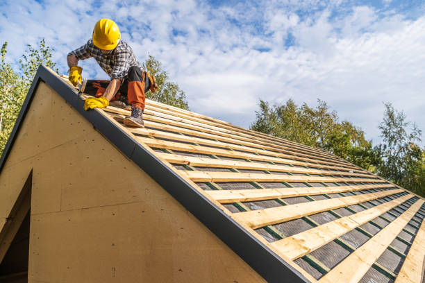 Best Flat Roof Repair Services  in Coal City, IL